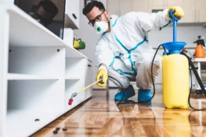 pest control services